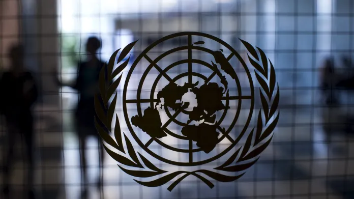 Zeman v OSN: Do boje s radikály vysílejme malé jednotky