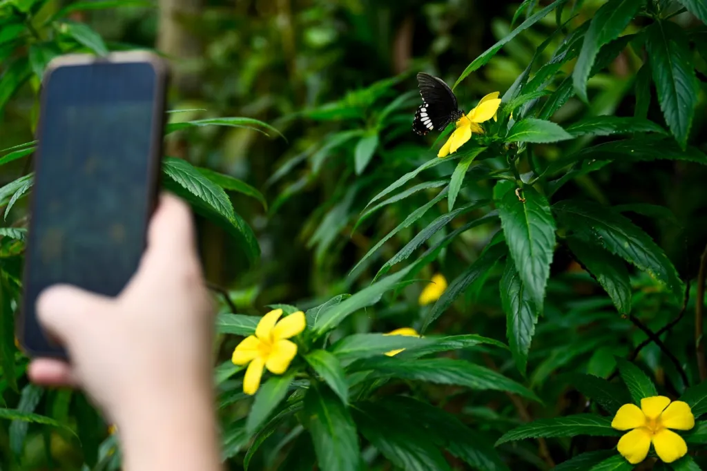 Výstava motýlů v botanické zahradě