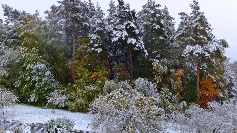 Zasněžené ráno v Habartově na Sokolovsku