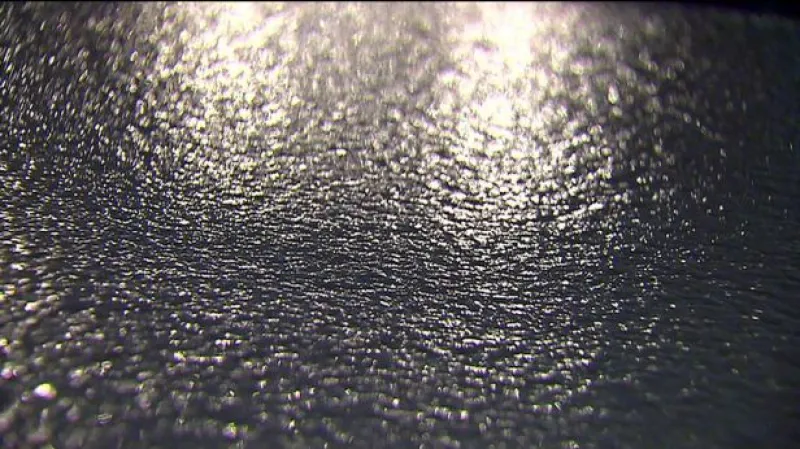 Vstup Barbory Žítkové