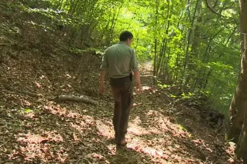 Lesy ČR chtějí zákaz vstupu do bučin v Krušných horách. Kraj je proti s tím, že bezpečnost lze zajistit