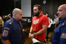 Státní zástupce obžaloval Tomáše Čermáka kvůli výzvě k útoku na politiky