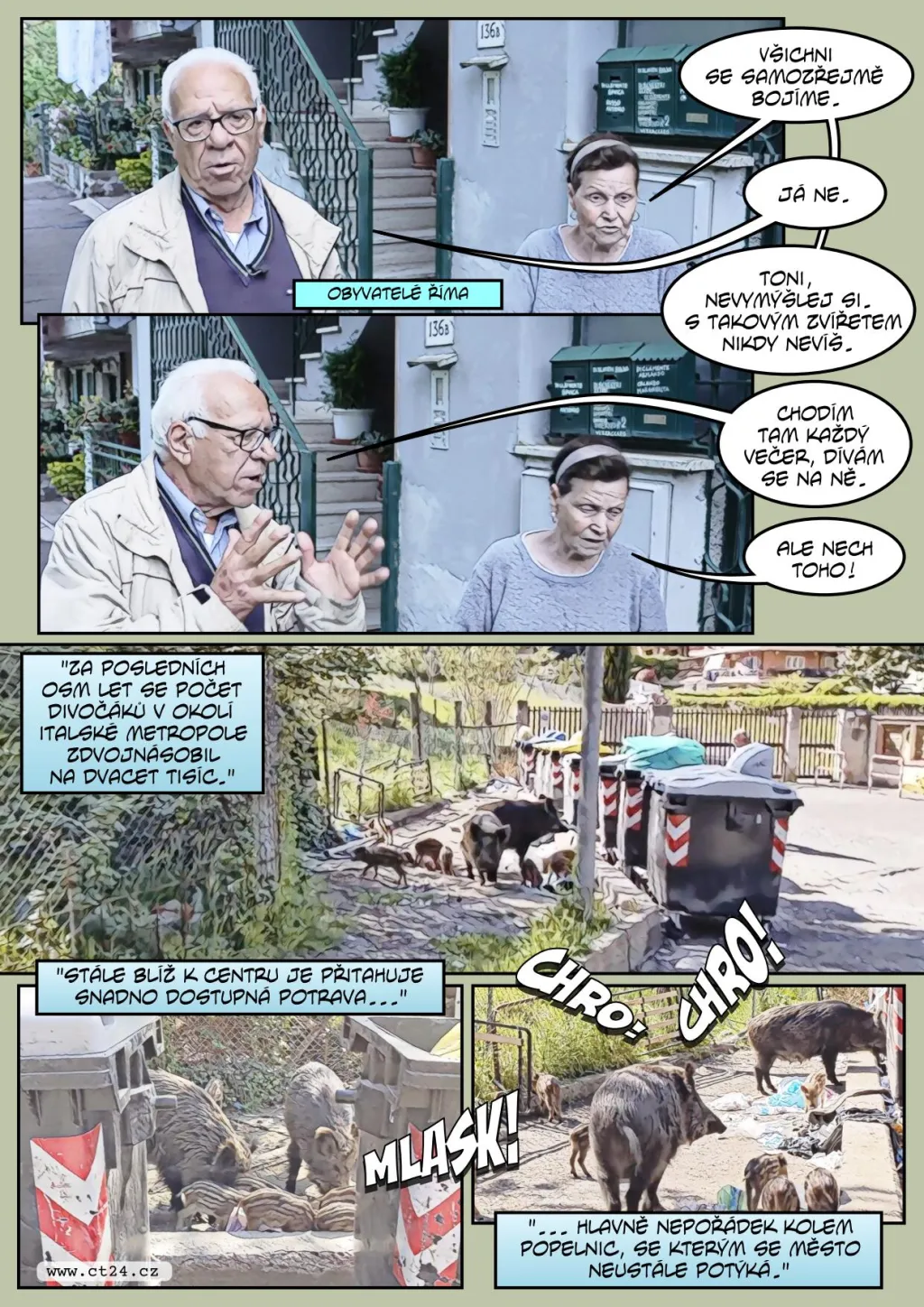 Přemnožení divočáci zaplavují Řím