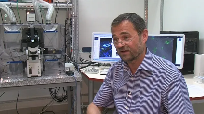Přednosta Ústavu histologie a embryologie Lékařské fakulty MU Aleš Hampl