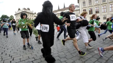 Běh pro gorily