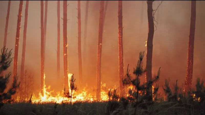 Podívejte se na záběry z místa požáru