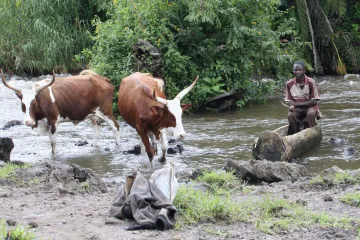 Češi hájí africké pralesy. Kácení stromů už pohřbilo nejednu civilizaci