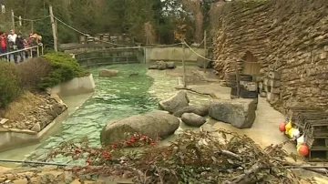 Výběh lachtanů ve zlínské zoo