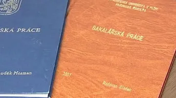 Bakalářská práce