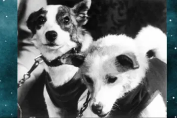 Voříšci Belka a Strelka otevřeli lidem dveře do kosmu