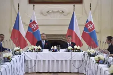 Česká a slovenská armáda budou nakupovat společně, dohodly se vlády na společném zasedání