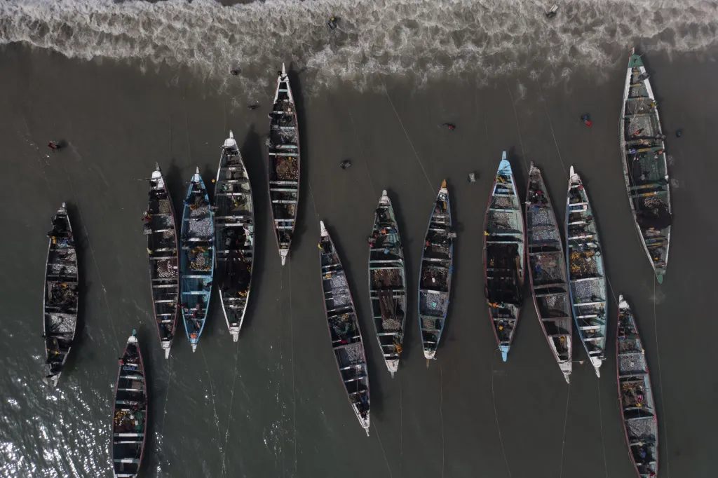 Místní obyvatelé z okolí senegalské zátoky Bargny se rybolovem živí od nepaměti. Jejich metoda lovu a zpracování úlovku se dědí z generace na generaci