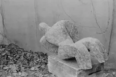 Vidět sochy. Výstava v Chebu opět spojila sochaře Palcra a fotografa Svobodu 