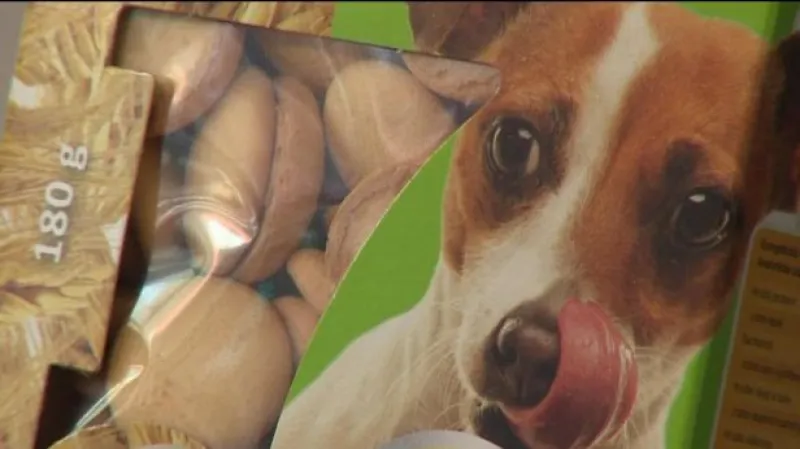 Události: Psí život s nadváhou