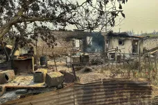 Požár v řeckém parku Dadia stále není pod kontrolou. Obnova lesa potrvá přes sto let
