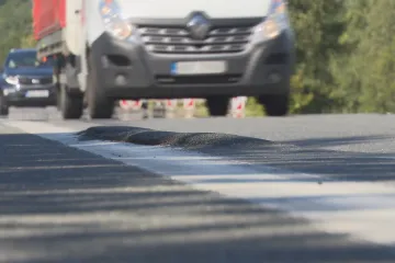 Na Svitavsku začaly opravy silnice I/35