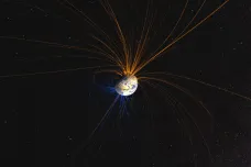 Když na Zemi zkolabovalo magnetické pole, vedlo to k explozi života, ukázala studie