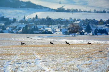 Česko čekají mrazivé noci a rána
