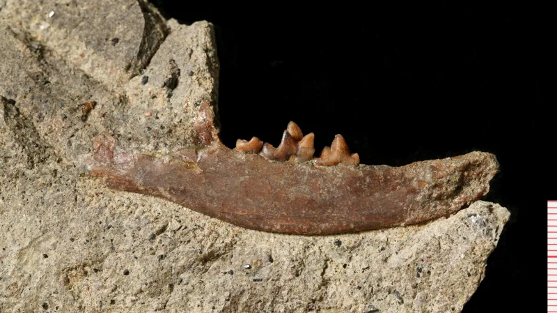 Čelist „šelmy z Valče“