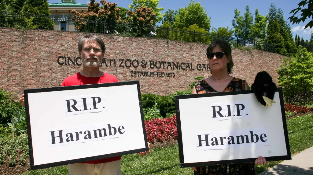 Lidé protestují proti zastřelení Harambeho