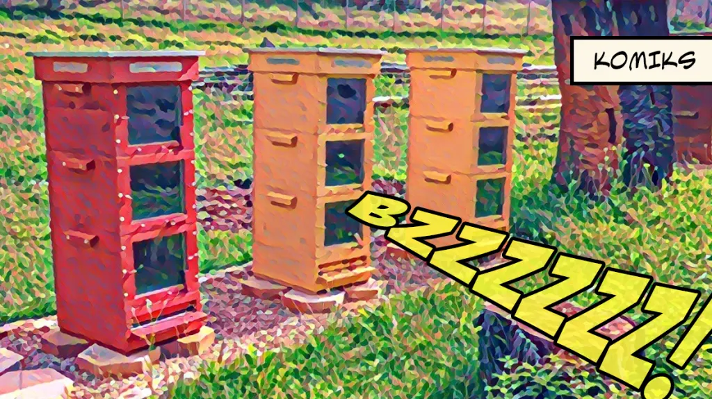 Místo chemických postřiků teplo a slunce. V Kadani zkouší proti včelím roztočům speciální české úly