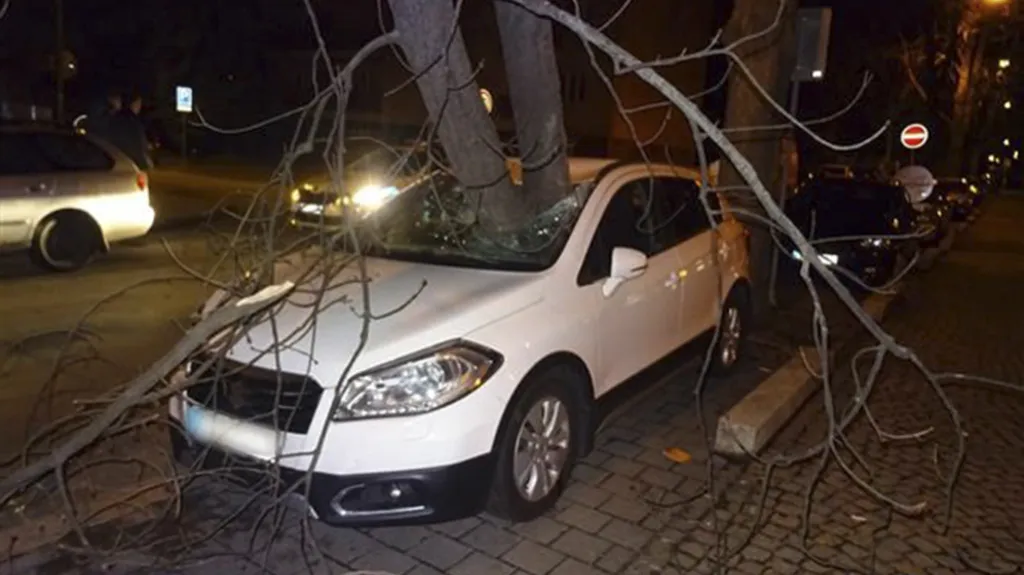 V Brně – Králově Poli strom, který se vlivem větru rozlomil, probodl čelní sklo a zabořil se přímo do sedadla za volantem zaparkovaného suzuki