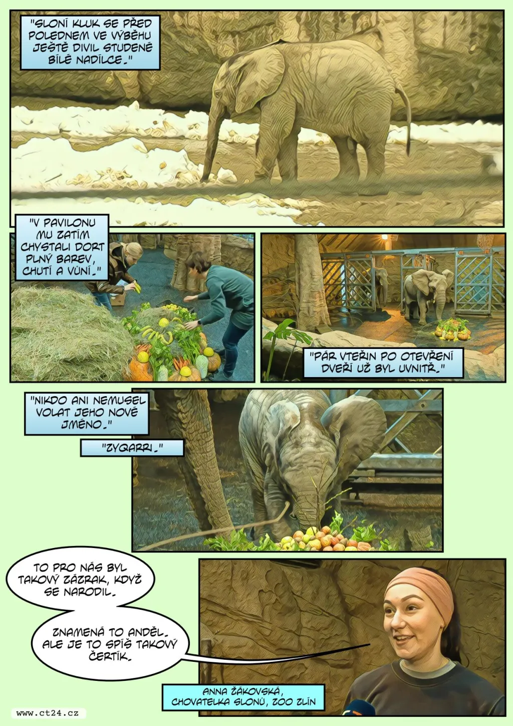 Sloní mládě oslavilo šest měsíců