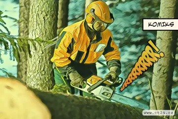 Kůrovcová kalamita kolem ledovcových jezer na Šumavě vrcholí