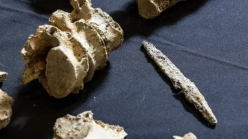 Kostra muže ve věku 17–24 let nalezená s železným hrotem kopí zabodnutým do páteře, nalezená ve Wendoveru