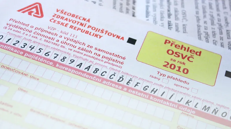 Přehled OSVČ za rok 2010