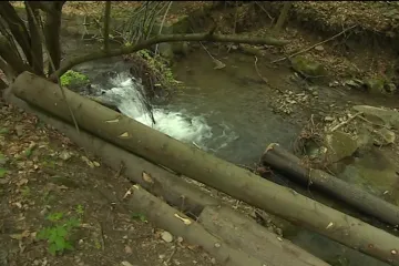 Obcím na Uherskohradišťsku vadí nešetrná těžba dřeva