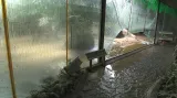 Vytopená zoo