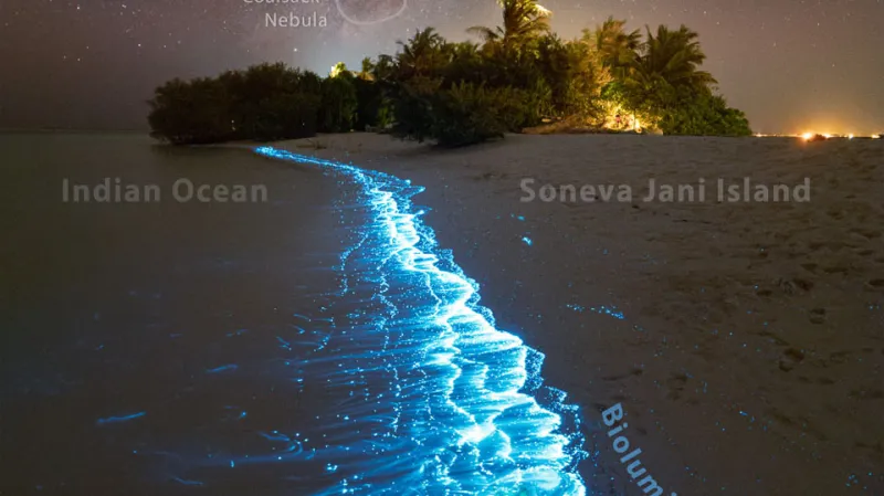 Vítězná fotografie Petra Horálka s popisky