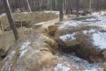 Kvůli ilegálnímu kopání vltavínů platí zákaz vstupu do některých lesů u Trhových Svinů