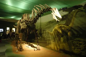 Planeta Země se vešla do Národního muzea