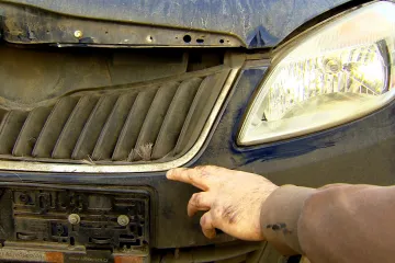 Na podzim to táhne na cesty divočáky, nehod se zvěří letos výrazně přibývá. Silničáři připravují obranu