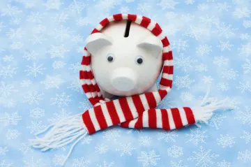 CEVRO: Žádná politika úspor v Česku nebyla