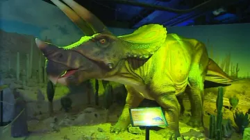 Dinosaurus z Plzně