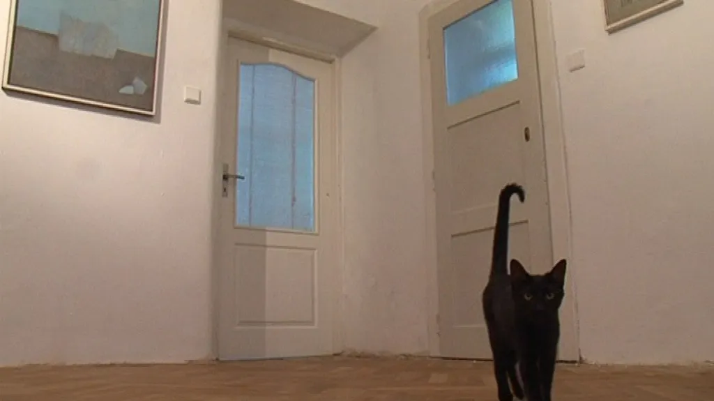 Výstava Oldřicha Tomana v bytové galerii