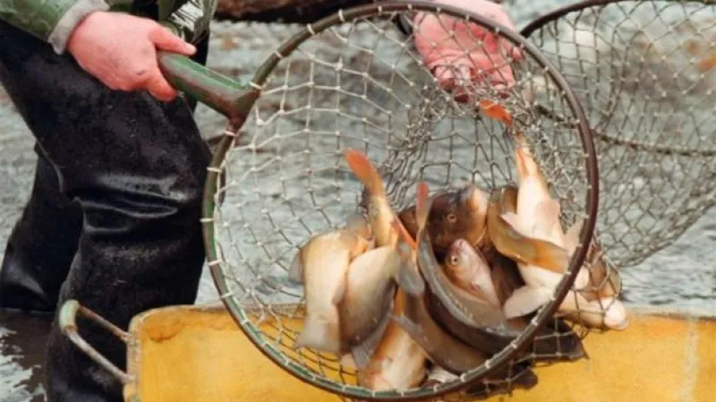 Rozhovor s předsedou představenstva Rybářství Třeboň