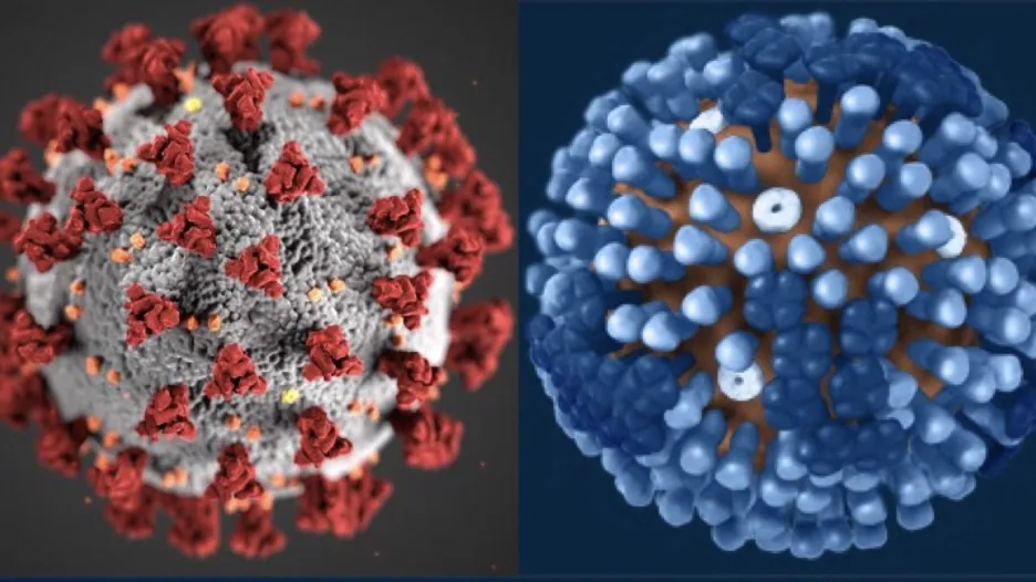 Vizualizace virů covidu a chřipky