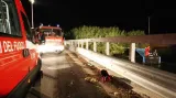 Po srážce autobusu s koněm zahynulo v Itálii pět lidí