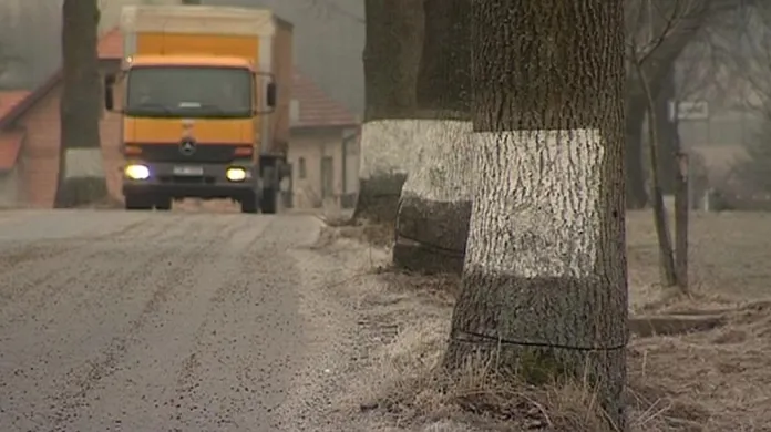 Vandalem podřezané stromy ohrožují řidiče na Žďársku především při silném větru.