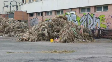 V Hraběticích na Znojemsku našli nelegální skládku odpadu