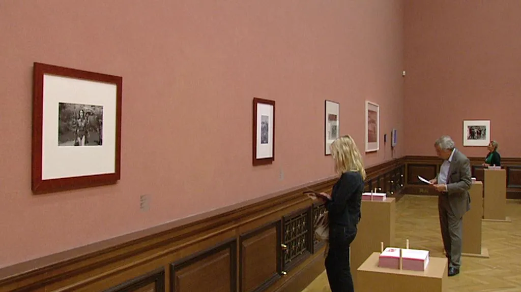 Expozice v Rudolfinu