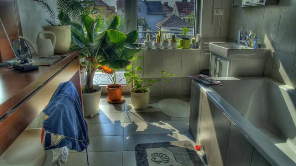 Věra Stuchelová, Hyperreality
