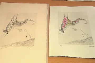 Muzea a galerie v Česku mají bohatší sbírky. I díky dotacím