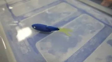 Robotická ryba