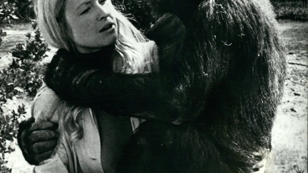 Francine Pattersonová a Koko