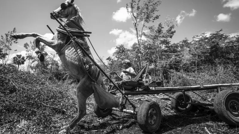 Arien Chang Castan / z cyklu Dokumentární fotografie (Havana, 2003-2016)